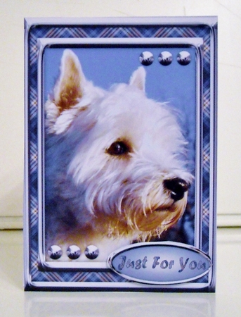 JJ LOVE MY DOG WEST HIGHLAND TERRIER OR WESTIE 5X7 by Pam Stubley