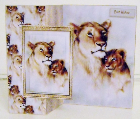 Lion and cub by Pam Stubley