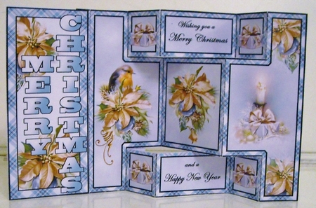 Shutter surprise Robin & Poinsettia by Pam Stubley