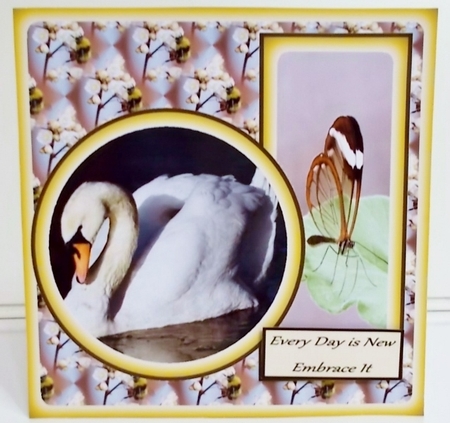 Spring is Coming by Pam Stubley