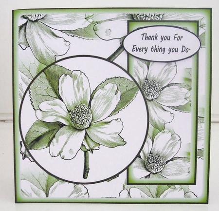 floral colours 4 by Pam Stubley