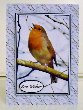 Little Robin by Pam Stubley