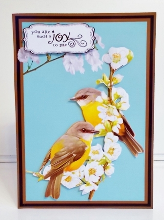 Birds and Blossom Birthday by Pam Stubley