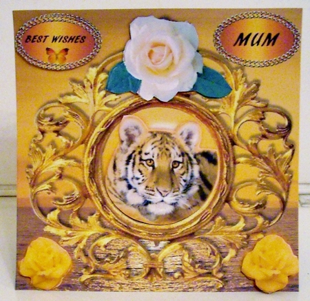 tiger (2) by Pam Stubley