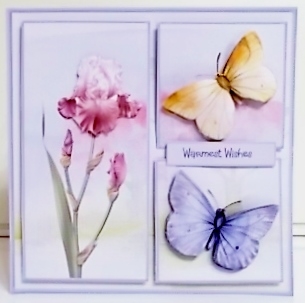 Summer butterfly by Pam Stubley