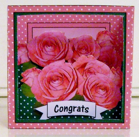 3D Floral Diorama Shadow Box Card Mini Kit  - Pink Roses by Pam Stubley
