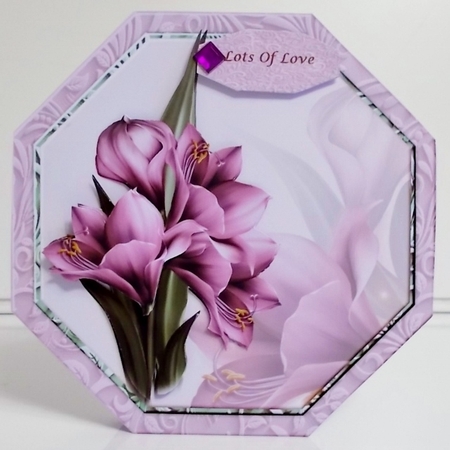 Octagon Beautiful Amaryllis Mini Kit by Pam Stubley