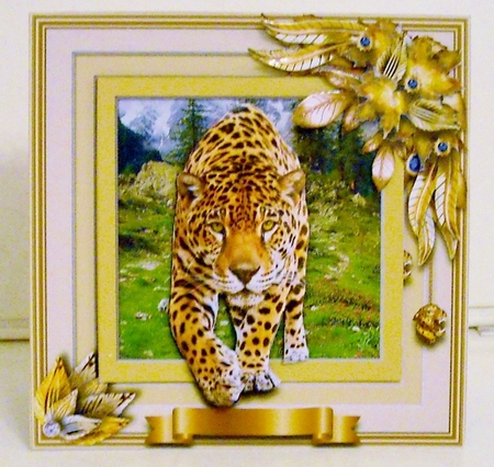 Animals Stepping Out - Leopard by Pam Stubley