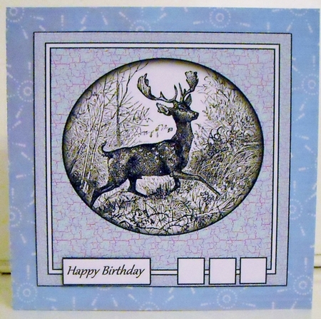 Stag 2 by Pam Stubley