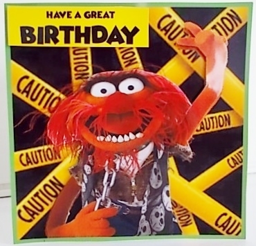 Animal Birthday by Pam Stubley