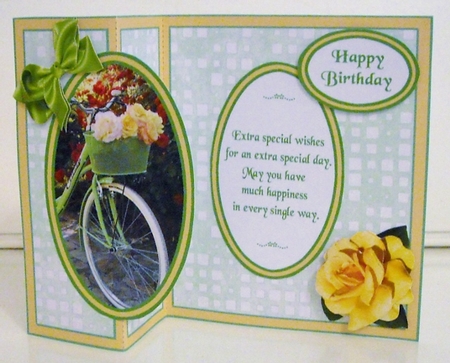 FB Bicycle with roses by Pam Stubley