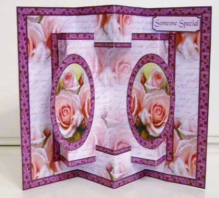Concertina Pink Roses by Pam Stubley