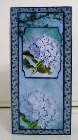 Concertina Hydrangeas by Pam Stubley