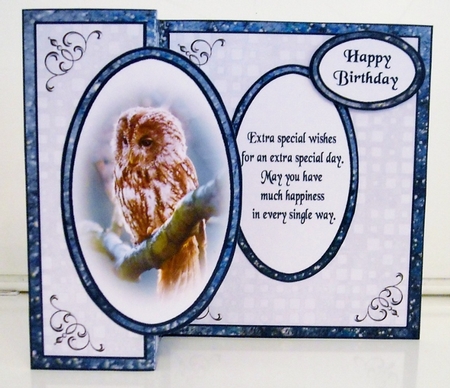 FB Night owl by Pam Stubley