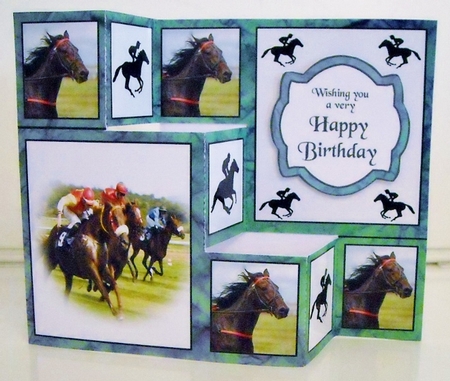 TSF Horse racing by Pam Stubley