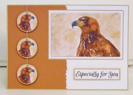 Male A5 Birthday Card Front Bumper Kit by Pam Stubley