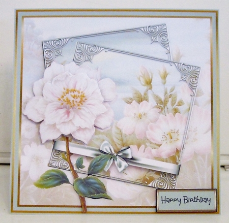 Delicate Camelia by Pam Stubley