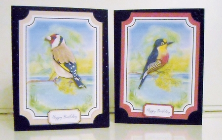Birds Bumper Kit by Pam Stubley
