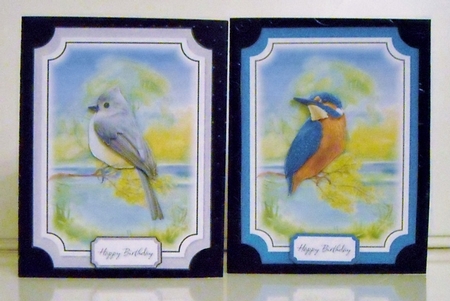 Birds Bumper Kit by Pam Stubley