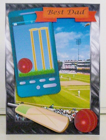Fathers Day Cricket Phone  by Pam Stubley
