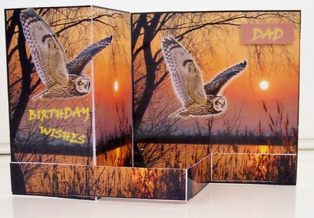Z Fold Owls At Dusk including Template Male Birthday/Fathers Day by Pam Stubley