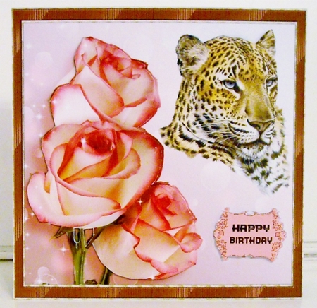 wild roses by Pam Stubley