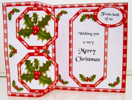 FB Tartan & holly by Pam Stubley