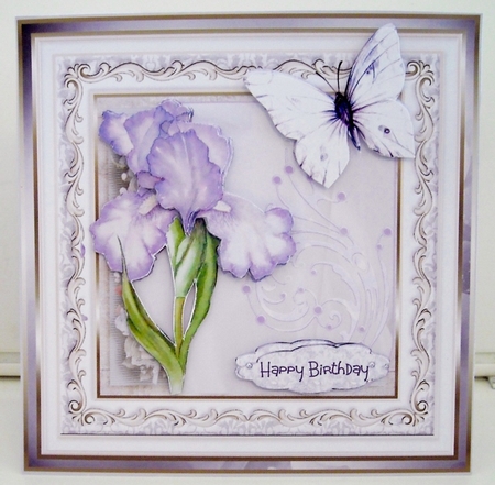 Lilac iris by Pam Stubley