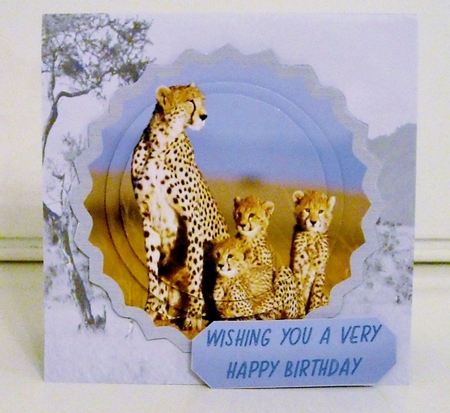 SERENGETI SAFARI TWIST & POP BIRTHDAY CARD KIT by Pam Stubley