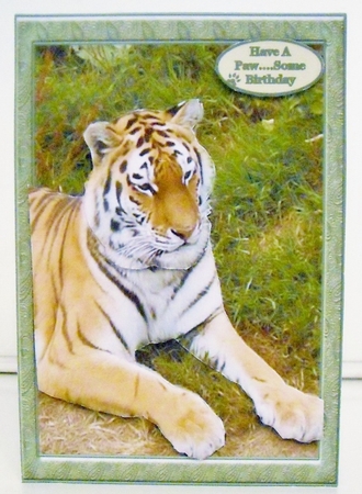The Tiger Of Dartmoor Zoo by Pam Stubley