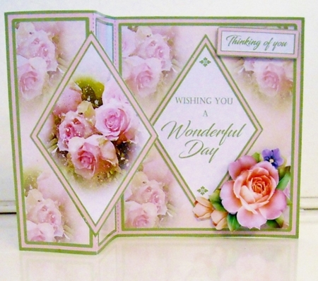DFB Pale pink roses by Pam Stubley