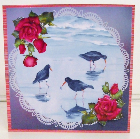 Oyster Catchers on Lace by Pam Stubley