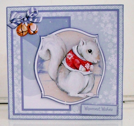 Winter squirrel by Pam Stubley