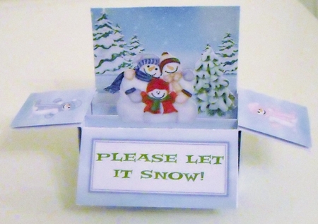 The Snow Family   A Box Card Kit With Instructions & Matching Envelope  by Pam Stubley