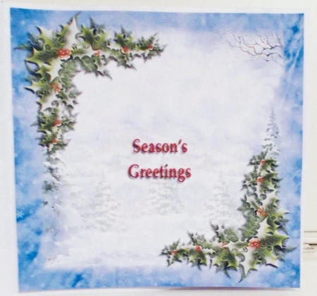 Christmas Robin Insert 8x8 With Gift Card by Pam Stubley