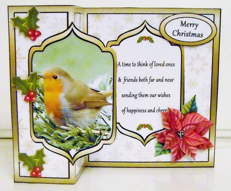 FB Robin & poinsettia by Pam Stubley