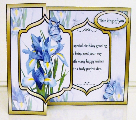 FBG Irises by Pam Stubley