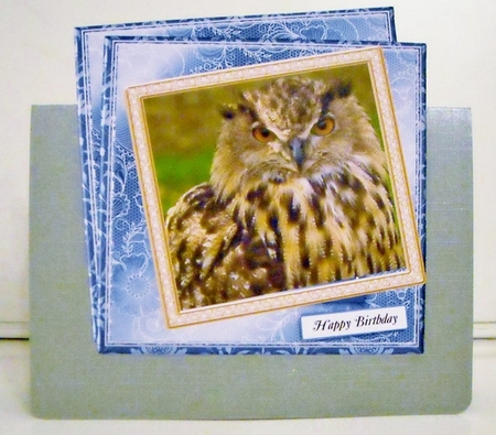 MULTI SENTIMENTS TAWNEY OWL by Pam Stubley