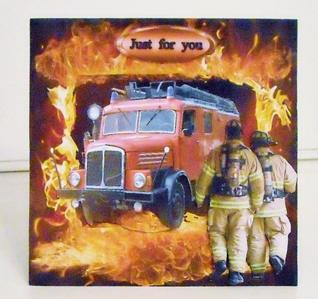 out of the flames by Pam Stubley