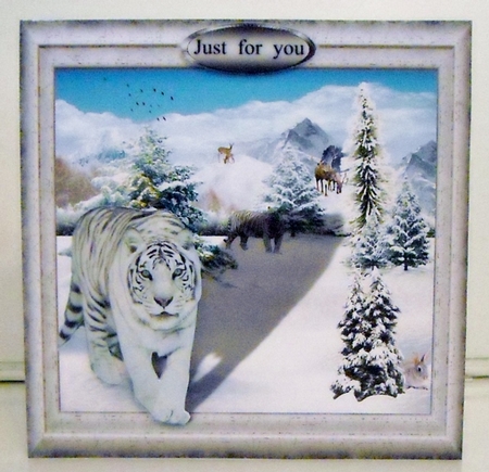 snow tiger by Pam Stubley
