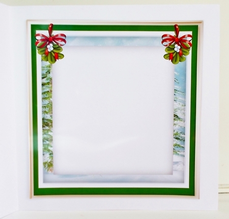 Blank Insert  , Come Play With Us by Pam Stubley