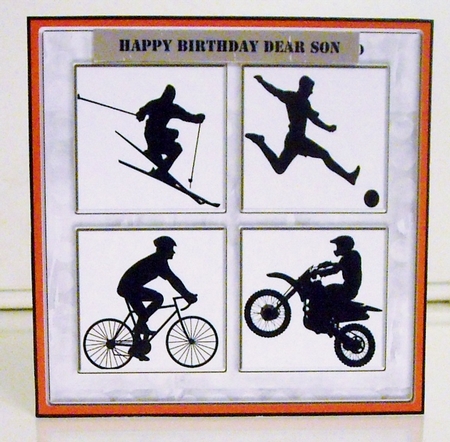Sports in Silhouette by Pam Stubley