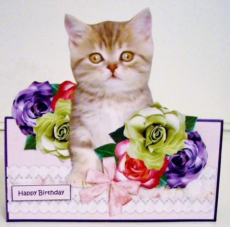 Over The Edge Cute Kitten & Flowers by Pam Stubley