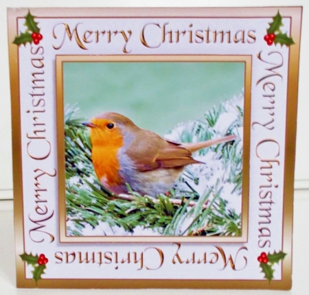 Robin in a snowy tree by Pam Stubley