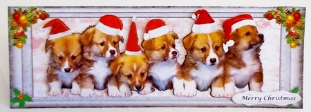 Christmas Puppies in hats DL by Pam Stubley