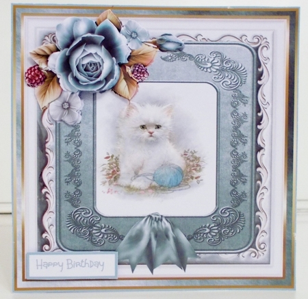White fluffy kitten by Pam Stubley