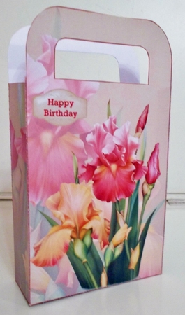 Blush of Iris gift bag by Pam Stubley