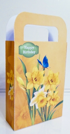 Dancing in the daffodils gift bag by Pam Stubley