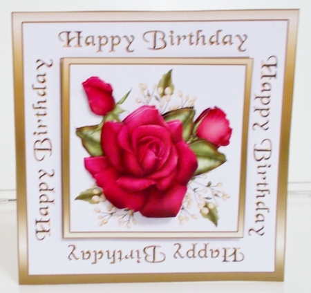 SC Claires roses by Pam Stubley