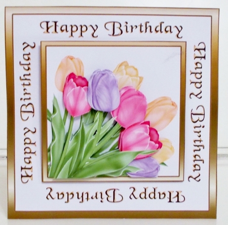 SC Tulips by Pam Stubley
